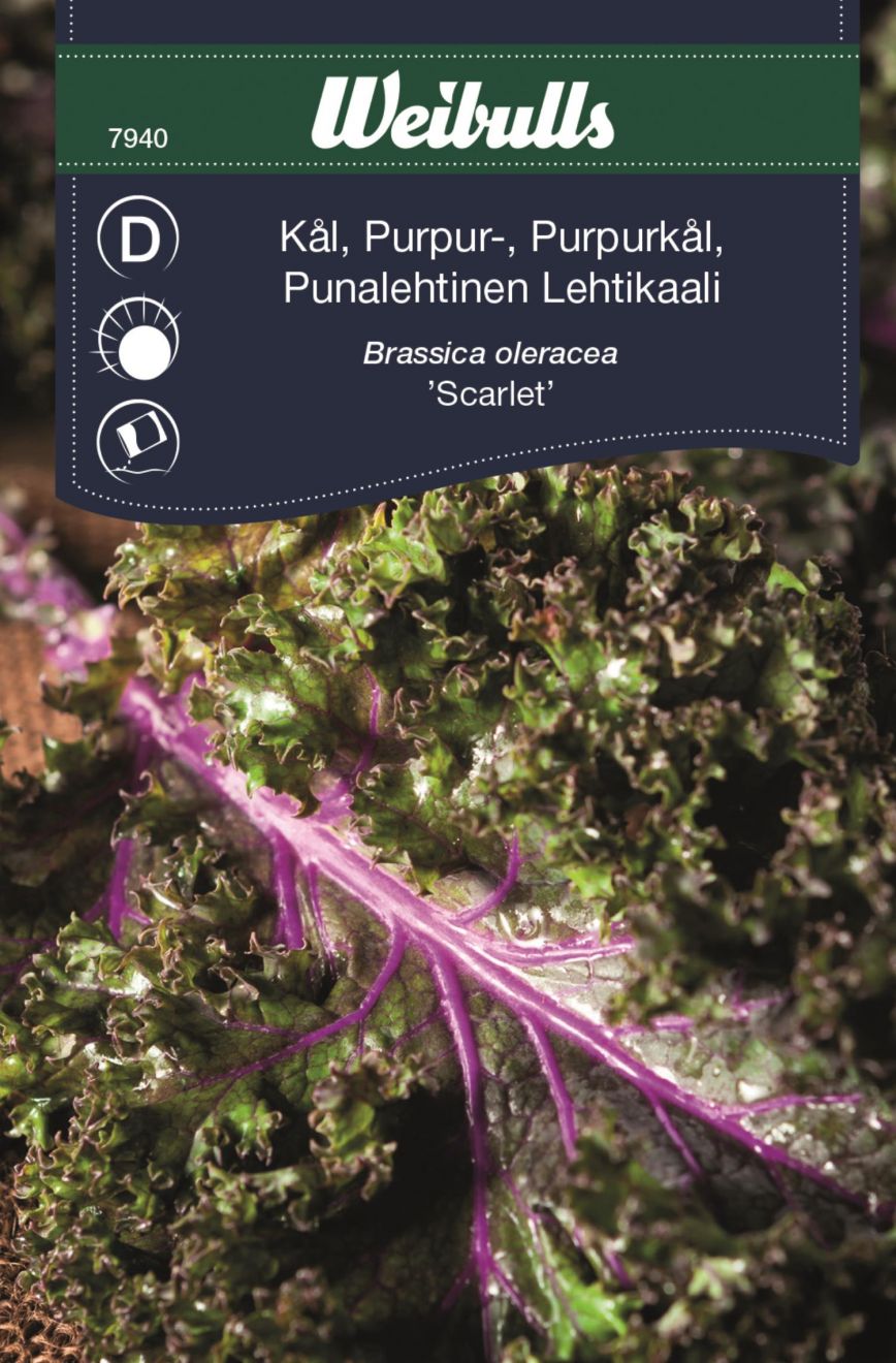 Weibulls Kål Purpur - Scarlet Brassica Oleracea