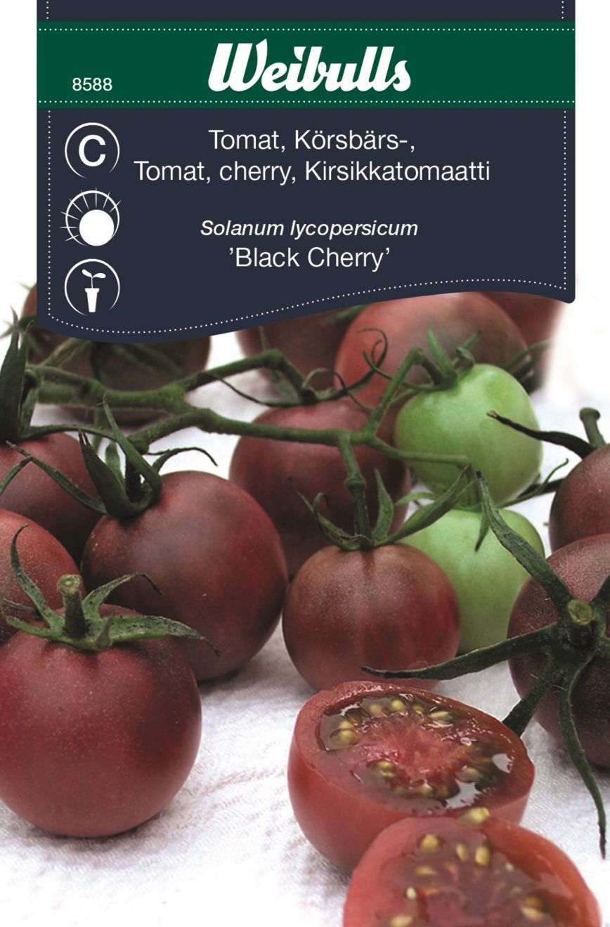 Weibulls Tomat Black Cherry