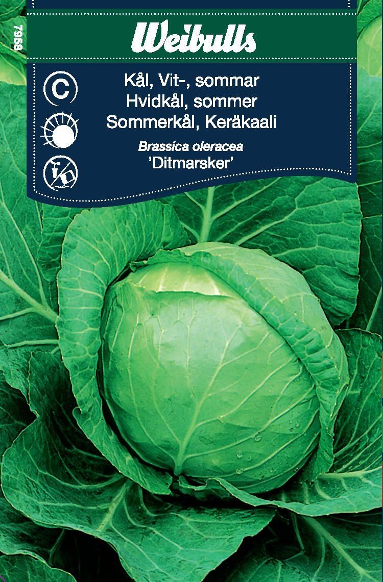 Weibulls Vitkålshuvud